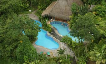 Lost Iguana Resort and Spa