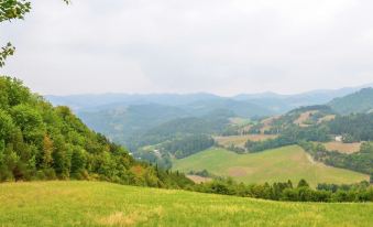 Sprawling Villa with Breathtaking Views in Emilia-Romagna