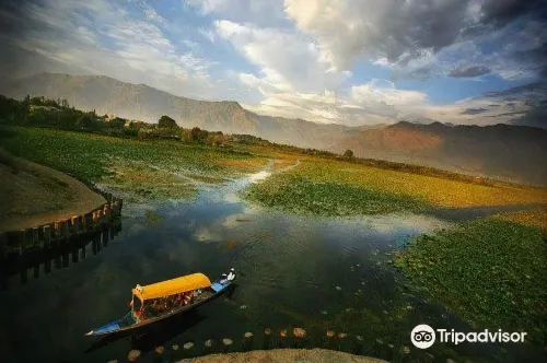 納基恩百合船屋 斯利那加酒店