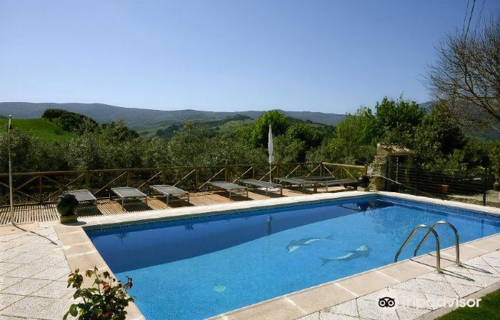 Cortijo Salinas