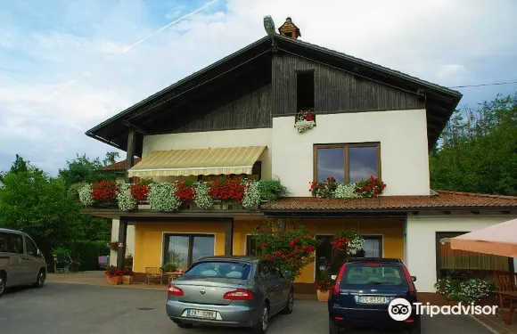薩那波爾住宿加早餐旅館