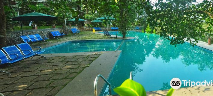 Wayanad Silver Woods Hotel Hotels in Wayanad