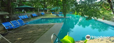 Wayanad Silver Woods Hotel