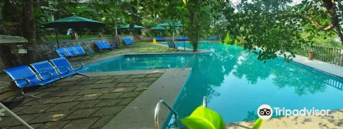 Wayanad Silverwoods Forest Resort and Spa - Kylpylä