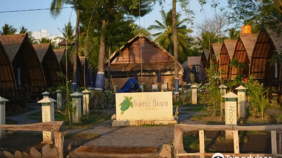 Turtle Beach Hotel