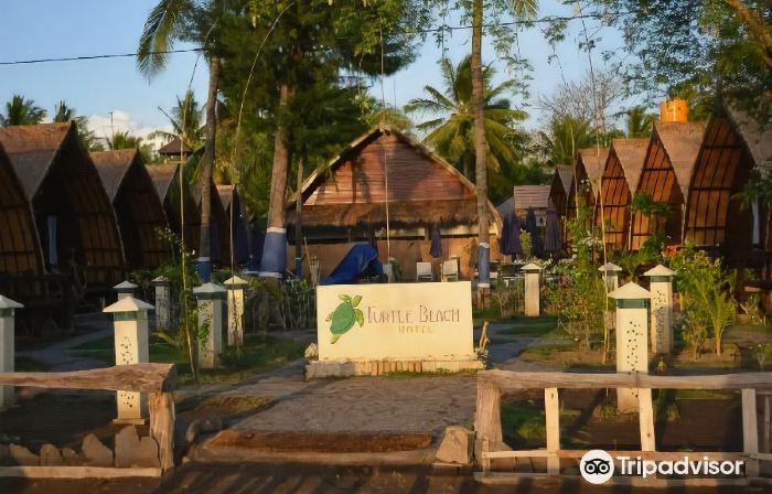 Turtle Beach Hotel