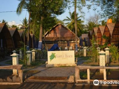 Turtle Beach Hotel