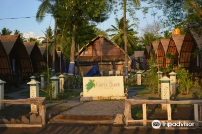 Turtle Beach Hotel Hotels in Pemenang