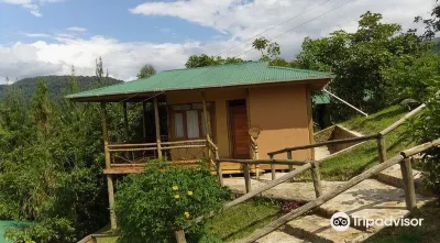 Ichumbi Gorilla Lodge Hotels in 