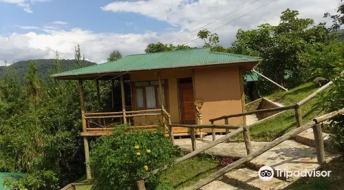 Ichumbi Gorilla Lodge