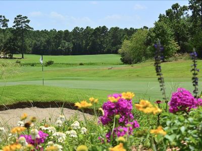 Surroundings #64C True Blue - 3 Br Home by RedAwning Photo