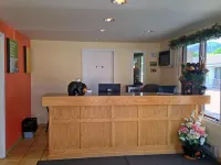 漢密爾頓入住快捷飯店