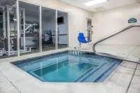 Holiday Inn Express & Suites ARLINGTON NORTH – STADIUM AREA by IHG - Hot Tub
