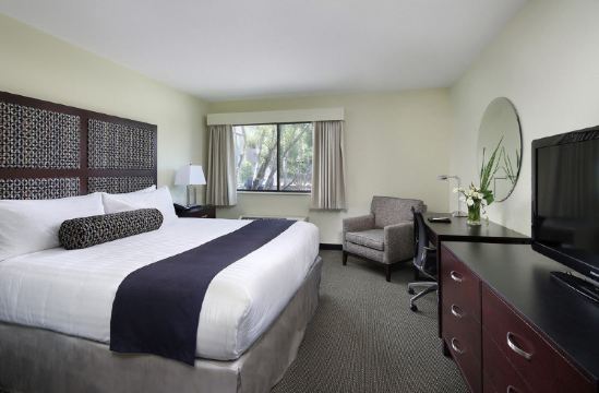 Maple Tree Inn Sunnyvale Latest Price Reviews Of Global Hotels 2021 Trip Com