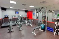 Holiday Inn CLARK - NEWARK AREA by IHG - gimnasio