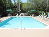 La Quinta East Deerfield Beach - Boca Raton - Swimmingpools