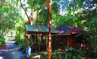 Daintree Rainforest Retreat Motel 사진 2
