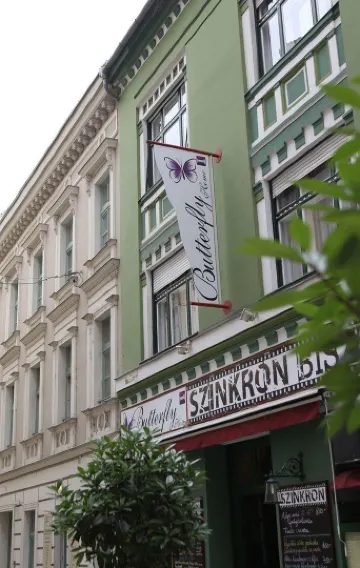 バタフライ ホーム ドナウ