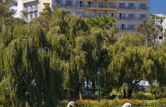 碧瑤伯納姆套房酒店