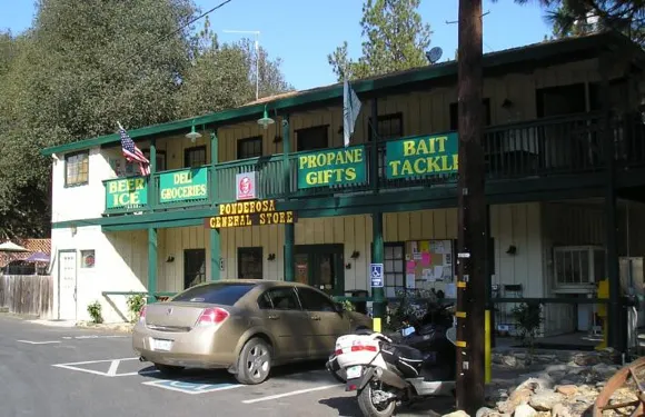 黃松野營度假村一卧室小屋4