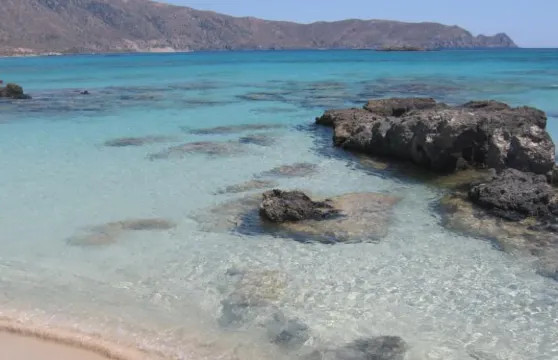 阿爾康別墅酒店