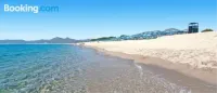 Faunele
