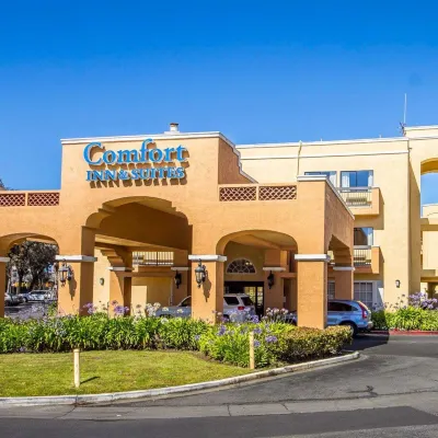 Comfort Inn & Suites San Francisco Airport North Hotels near Cow Palace