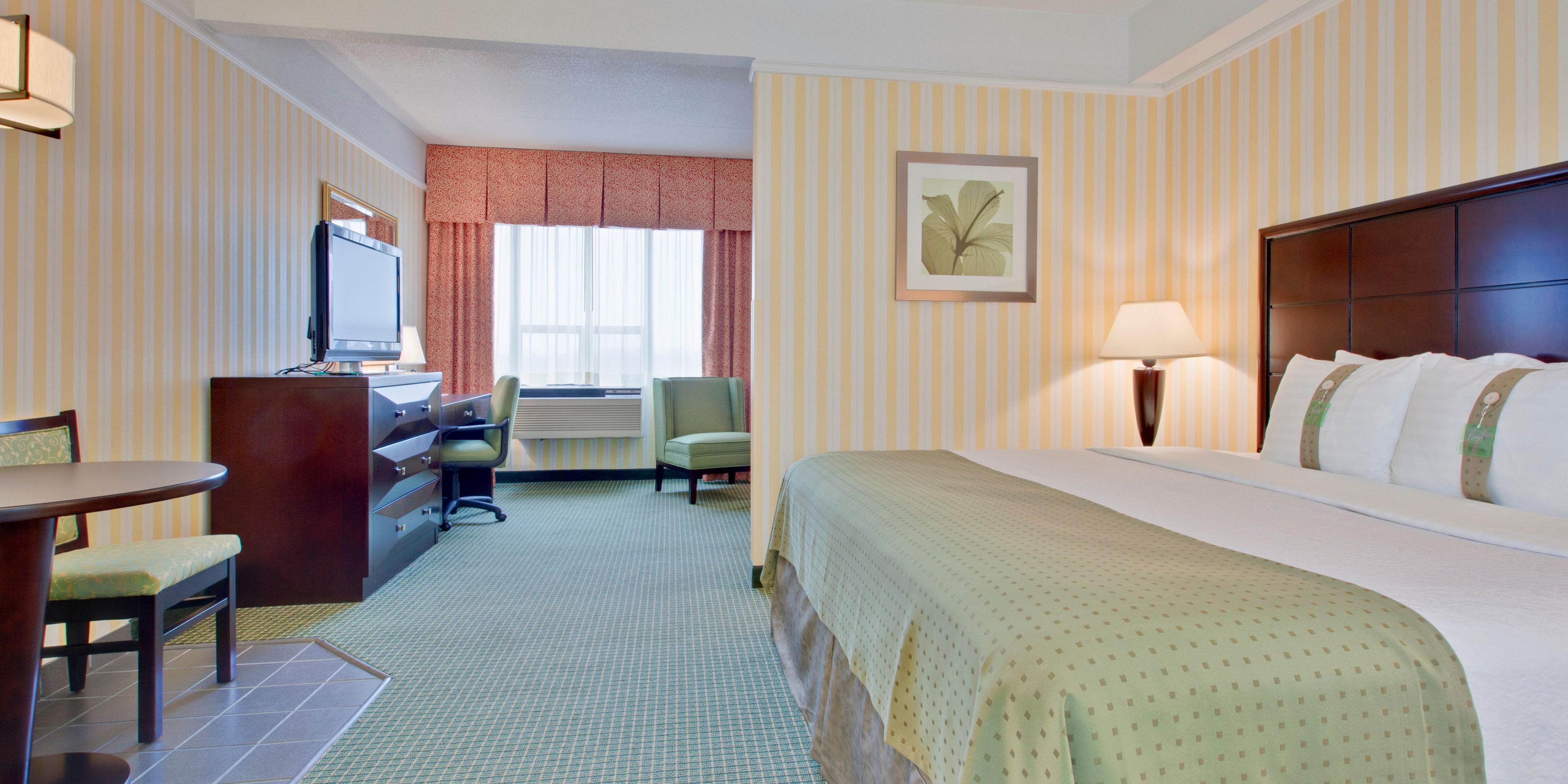 Holiday Inn Windsor - Ambassador Bridge, an Ihg Hotel