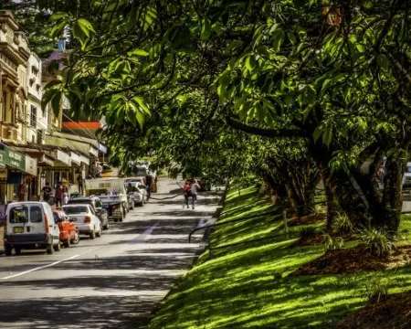 Mountain Whispers Strawberry Patch Hotels in Leura