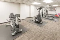 Ramada by Wyndham Edmonton South - palestra