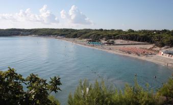 Residence Borgo Latino- Localo