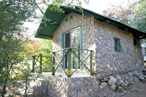 Sasa Safari Camp & Tours