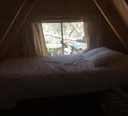Hostal El Colibri - Pet friendly