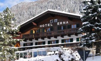 Hotel Erna