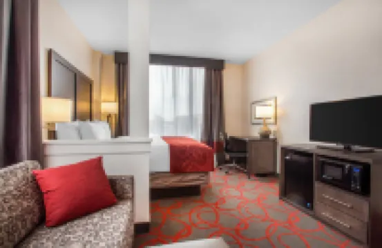 Comfort Inn & Suites Near Stadium Hôtels à proximité de : Apollo Theater