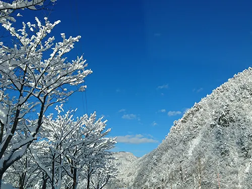 湯澤新大谷日式旅館