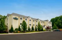 Microtel Inn & Suites by Wyndham Beckley East Hotels in Beckley