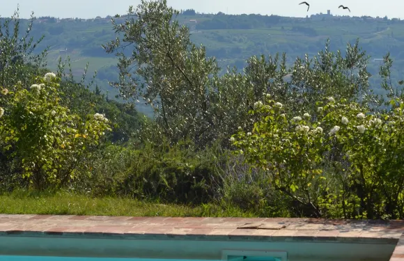 伊爾波加爾迪莫拉斯託瑞卡別墅