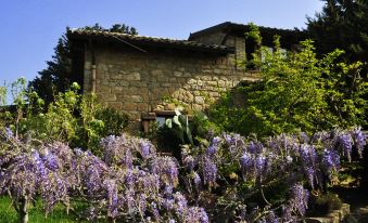 La Casa sulla Collina d'Oro