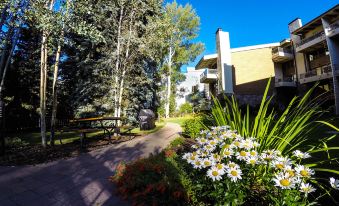 Lodge at Lionshead