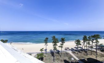 Gyeongpo Soo Hotel - Housity