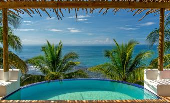 a large , round pool with a thatched roof is surrounded by palm trees and overlooks the ocean at Hope House