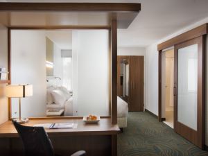 SpringHill Suites Wisconsin Dells