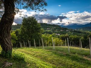 Agriturismo le Spezie