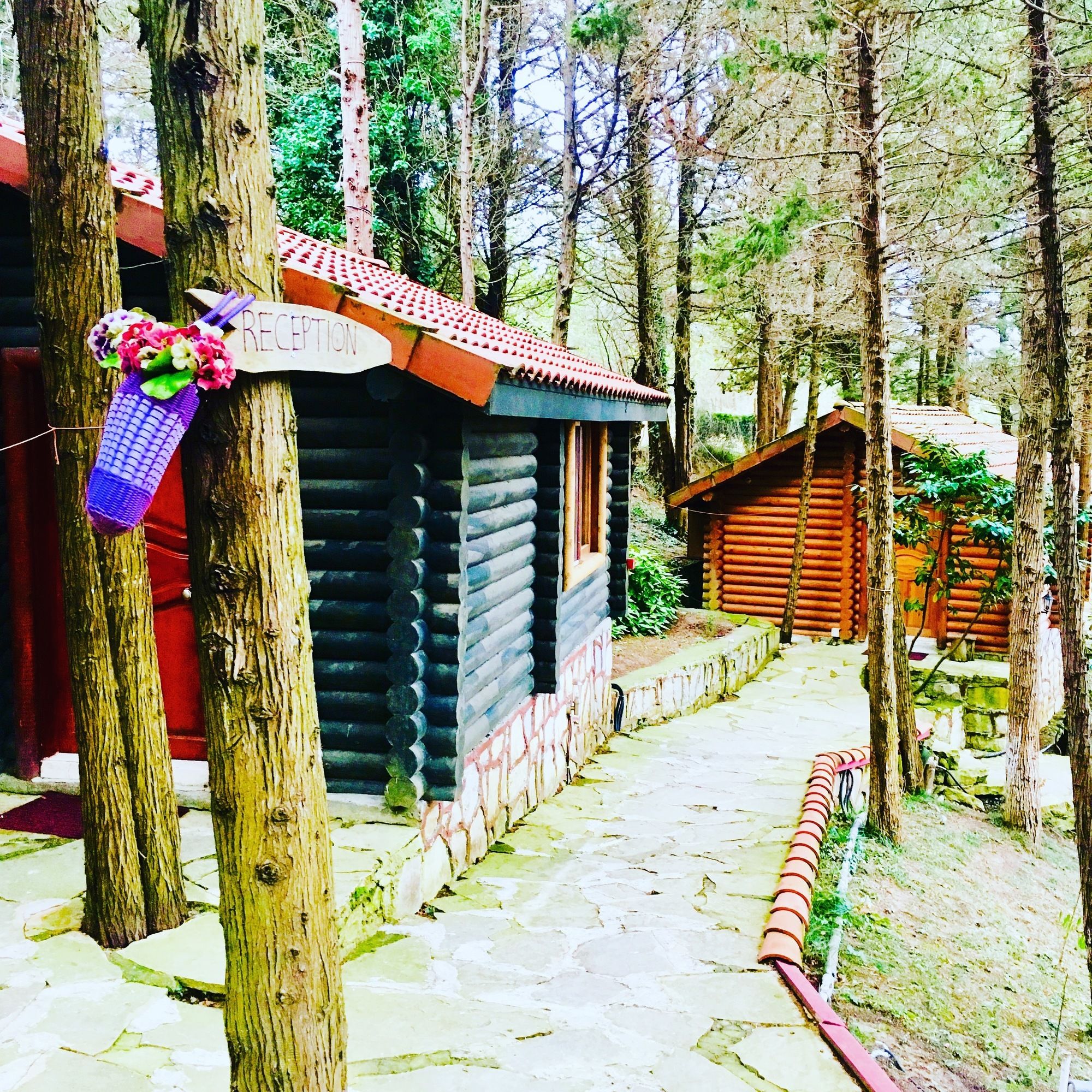 Ağva Orman Evleri Forest Lodge (Agva Orman Evleri Forest Lodge)