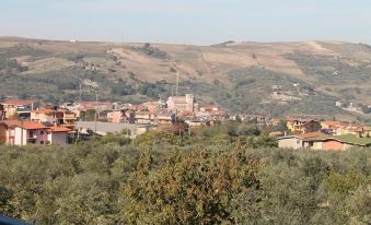 L'Amena Quisisana - Housity