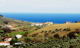 Villa Istonia - Housity
