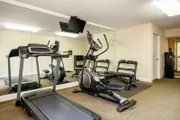 Quality Inn & Suites Tarpon Springs South - Gym