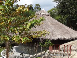 Atremaru Jungle Retreat