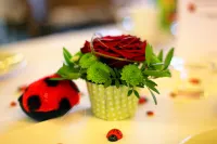 Hotel Gasthaus Zur Krone Hotels in Bornheim